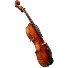 Good violin no label
